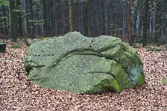 Detmold 2014 04 05 Leistruper Wald Opferstein I (1)