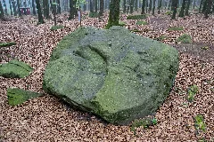 Detmold 2014 04 05 Leistruper Wald Opferstein I (3)