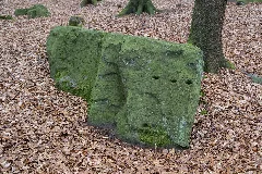 Detmold 2014 04 05 Leistruper Wald Opferstein Ii