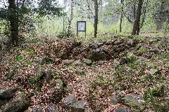 Detmold 2014 04 05 Leistruper Wald Steinhügelgrab (4)