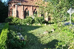 Deu Niedersachsen Polau 240707 001