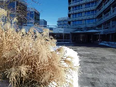 Deutsche Rentenversicherung Bayern Süd Panoramio