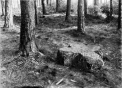 Die Alten Steinkreuze In Sachsen (1928) 172A