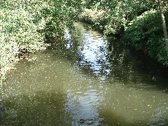 Die Erf In Bürgstadt