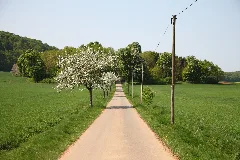 Die K50 Am Katzbach Mit Blick Richtung Ochsenkamp Und Eichmilde (Bad Driburg)