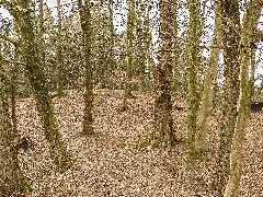 Die Motte Felddieksboll Von Osten