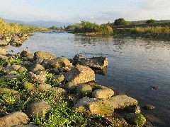 Die Murg Bei Bischweier Panoramio (1)