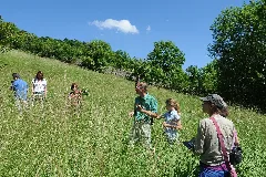 Die Naturschutzgruppe Taubergrund In Der Steinriegellandschaft Bei Creglingen