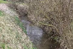 Die Nebelbeeke Bei Westuffeln