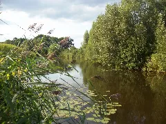 Die Neetze Bei Horburg