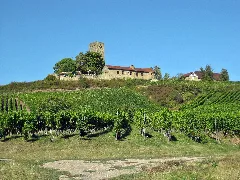 Die Ravensburg Bei Sulzfeld (Baden) Panoramio