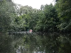 Die Werse In Münster Panoramio