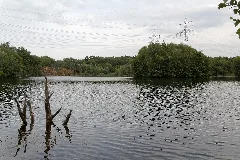 Dietesheim Vogelsberger See 3