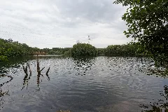 Dietesheim Vogelsberger See 4