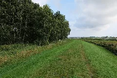 Dike In Mesekenhagen 2021 09 11 01