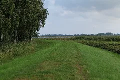 Dike In Mesekenhagen 2021 09 11 02