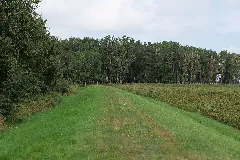 Dike In Mesekenhagen 2021 09 11 03