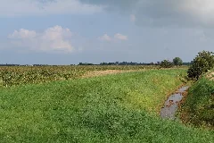 Dike In Mesekenhagen In Sac Greifswalder Bodden 2021 09 11 01