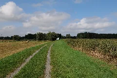 Dike In Mesekenhagen In Sac Greifswalder Bodden 2021 09 11 02
