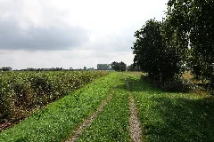 Dike In Mesekenhagen In Sac Greifswalder Bodden 2021 09 11 05