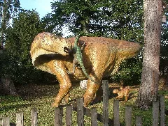 Dinosaurier Museum Von Holzmaden Panoramio