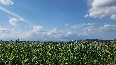 Discover Homberg(Efze)