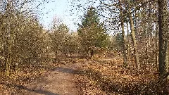Distrikt Hainbuchenseifen Panoramio