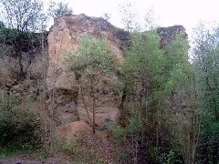 Doberg2