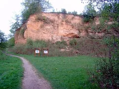 Doberg3