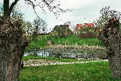Dodendorf (Sülzetal), Biotop