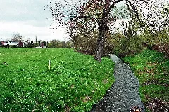 Dodendorf (Sülzetal), Die Sülze