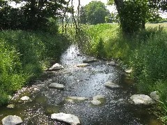Doebbersen Schilde (Ablauf Woezer See) 2008 06 02 070