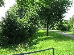 Dönchebach, 1, Oberzwehren, Kassel