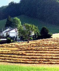 Dörlinbach Gutenberg Panoramio