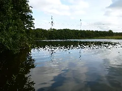 Dörpsee Schülldorf 1