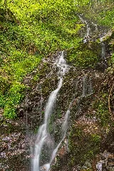 Dohlenbach Wasserfall Bild 1
