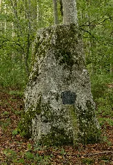 Donaueschingen 8742