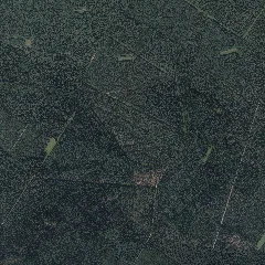 Dop20Rgb 32 618 5886 2 Ni 2012 09 02
