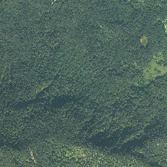 Dop40 Landkreis Berchtesgadener Land 32791 5296 (Bayerische Vermessungsverwaltung)