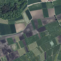 Dop40 Landkreis Dillingen A.d.donau 32594 5374 (Bayerische Vermessungsverwaltung)