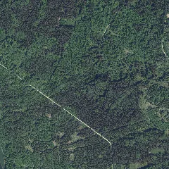 Dop40 Landkreis Dillingen A.d.donau 32595 5382 (Bayerische Vermessungsverwaltung)