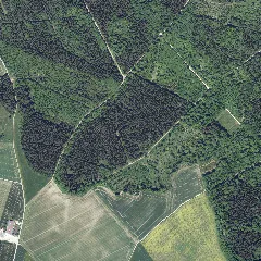 Dop40 Landkreis Donau Ries 32605 5399 (Bayerische Vermessungsverwaltung)