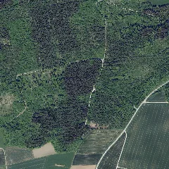 Dop40 Landkreis Donau Ries 32606 5398 (Bayerische Vermessungsverwaltung)