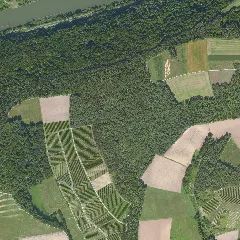 Dop40 Landkreis Main Spessart 32543 5514 (Bayerische Vermessungsverwaltung)