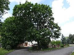 Dorfplatz Von Kischlitz, Petersberg, Thüringen 1