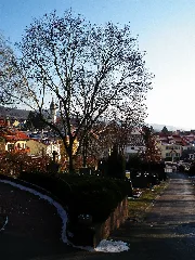 Dossenheim Blick Über Friedhof Auf Gemeinde