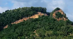 Dossenheim Vatter