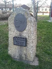 Dr. Blumenau Hasselfelde