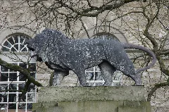 Dransfeld Löwe Vor Kirche