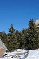 Dreikreuzkapelle Nesselwängle, Carschten Stitch 6